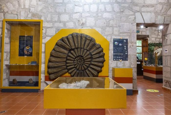 UMSNH y Secretaría de Cultura Federal promueven patrimonio paleontológico