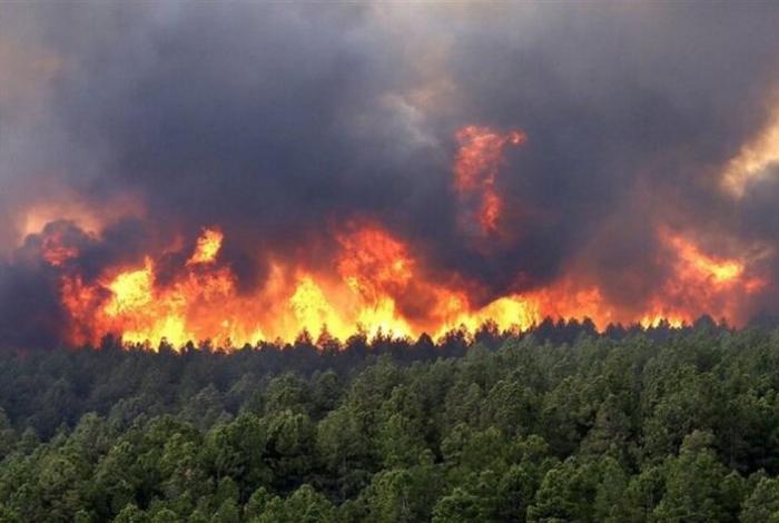 Un incendio consume los históricos bosques hircanos de Irán, patrimonio de la UNESCO