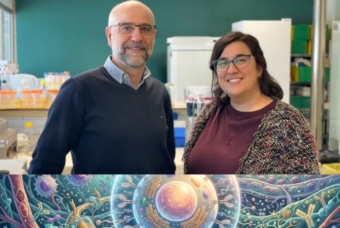 Un trasplante de células madre logra la curación del VIH en el décimo paciente