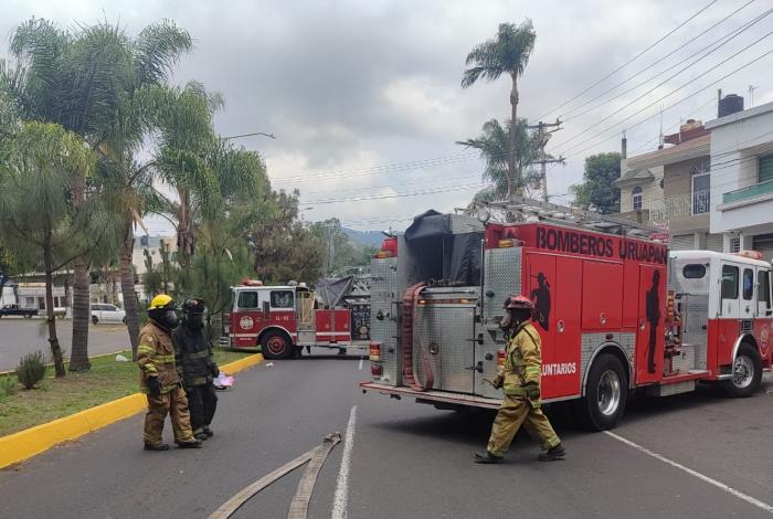 Uruapan: abejas atacan a seis personas