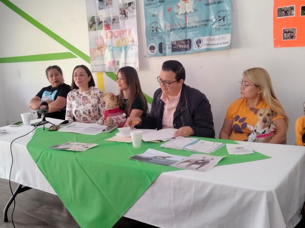 Uruapan, epicentro nacional de crueldad animal: activistas