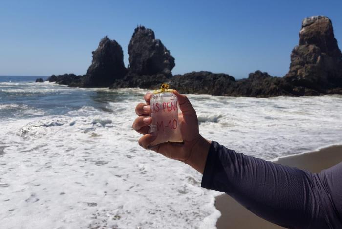 Vacaciones seguras: Playas de Michoacán listas para Semana Santa