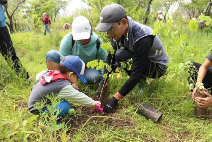 ¡Vamos a reforestar! Únete a la campaña para plantar 10 millones de árboles: Secma