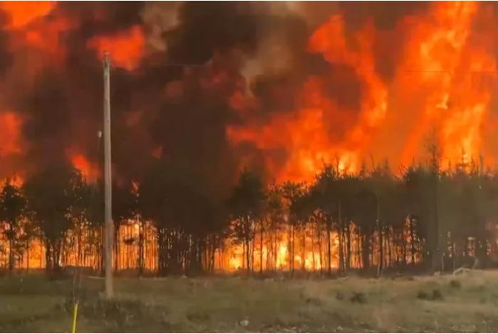 Van 135 incendios forestales en Michoacán; aguacateros que deforesten no podrán vender fruto