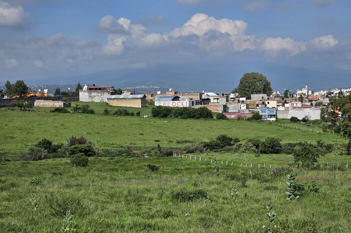 Vecinos de Altozano y Coeeco reclaman protección a bosques, ante desarrollo inmobiliario