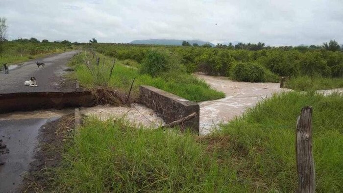 Vecinos de Apatzingán se quejan por falta de atención una semana después de fuertes lluvias