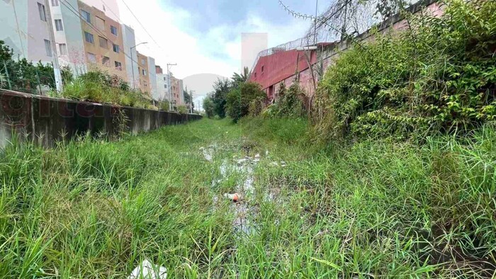 Vecinos de Campestre del Vergel piden limpieza de arroyo por estancamiento de aguas negras