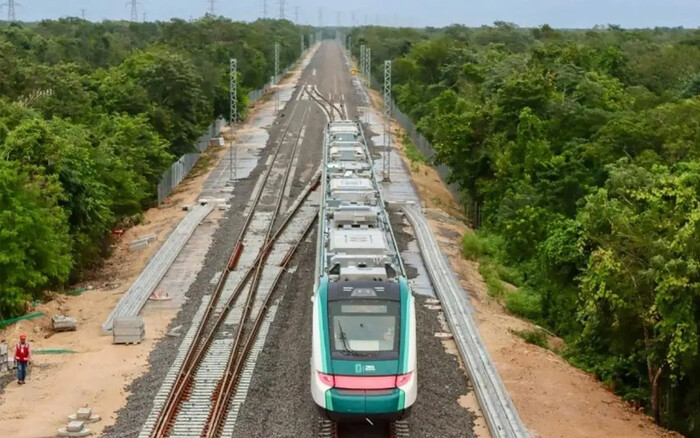 Verificará Profepa empresa para protección de animales del Tren Maya, cumpla norma