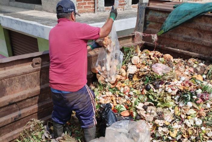 Vida Ecológica del Cupatitzio transforma 60 toneladas semanales de orgánicos en composta