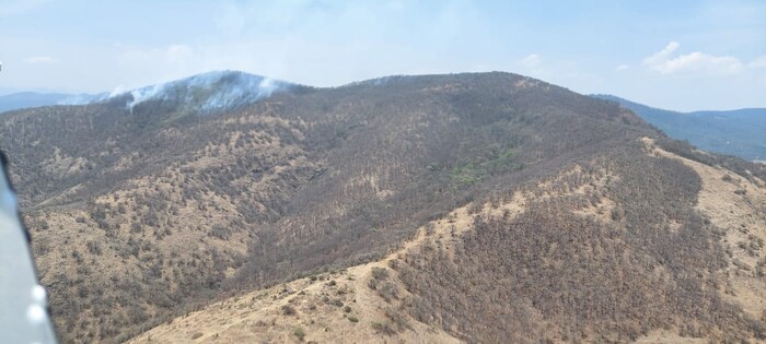 #Video | Atienden por aire y tierra incendio forestal en Cerro Verde, en Morelia