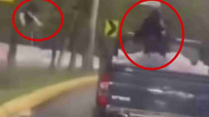 Video: Captan a sujeto lanzando gatitos desde una camioneta en Edomex