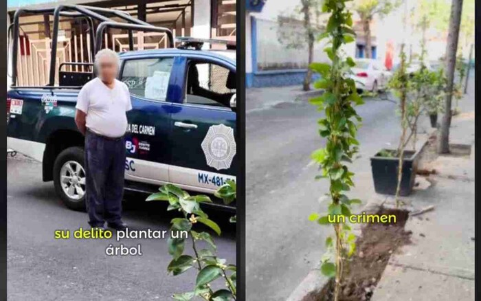 #Video: Detienen a viejito por plantar árbol en la banqueta