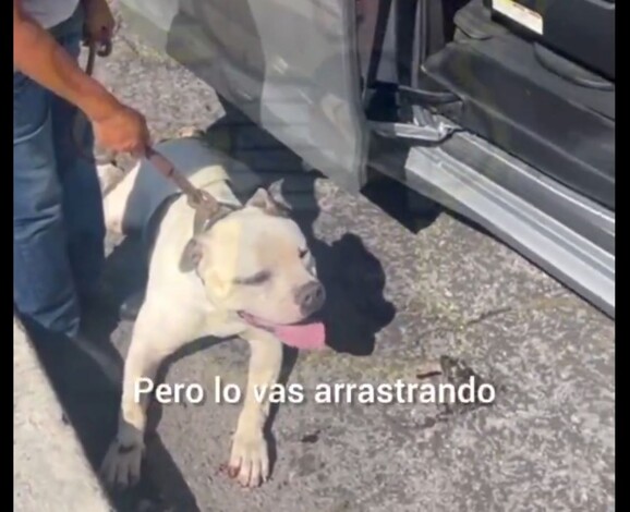 #Video | Escalofriante maltrato animal: mujer en Puebla arrastra a su perro con el coche y se hace viral