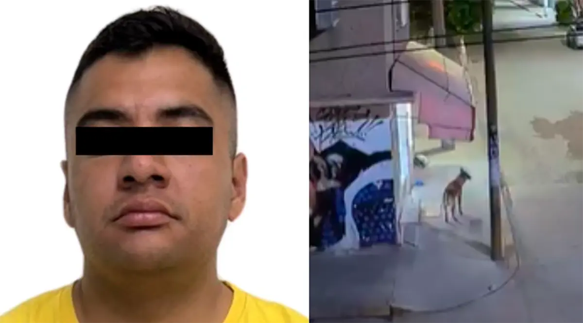 #Video: Expolicía dispara contra perrito y enfrenta proceso penal