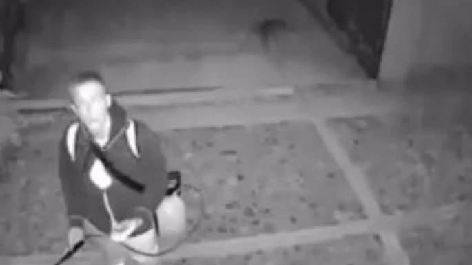 #Video: Extranjero ataca con acido a dos perritas en Oaxaca; ya fue identificado y lo buscan autoridades