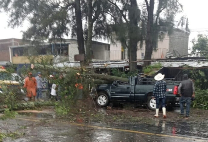 #Video | Fuerte tormenta azota Los Reyes, tumbó árboles y causa encharcamientos