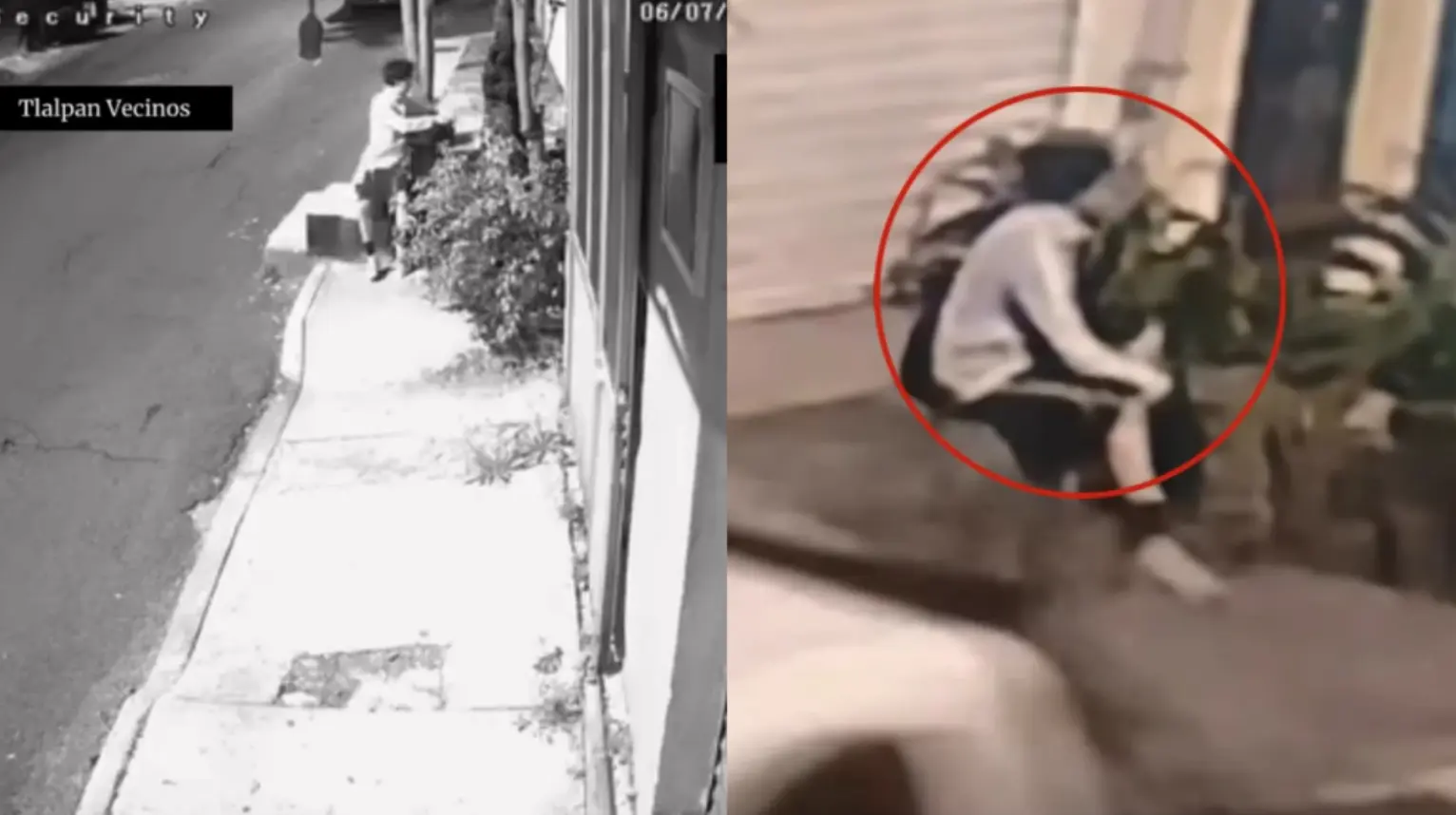 Video: Hallan feto de ocho meses abandonado en jardinera de Tlalpan; cámaras captan al presunto responsable