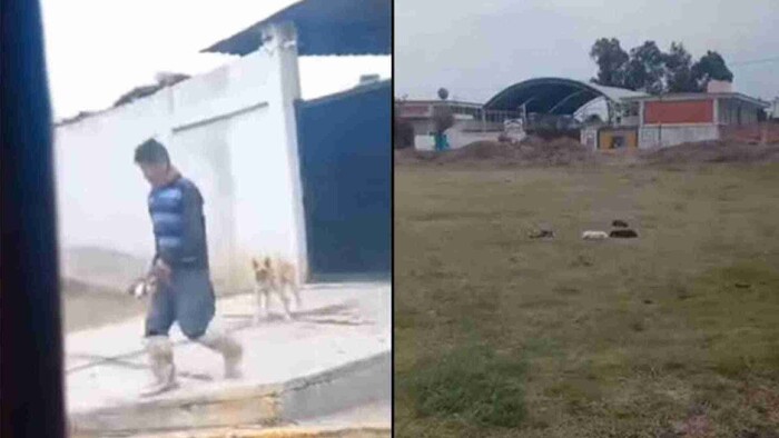 Video: Hombre lanza con una pala a unos cachorros en Puebla