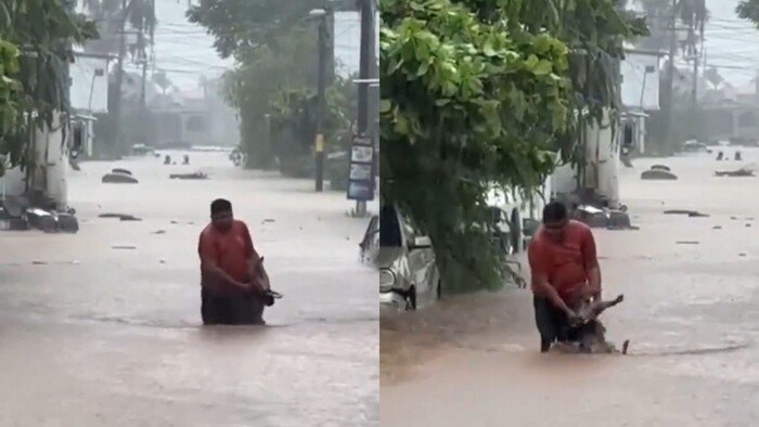 #Video | Hombre rescata a perrito de las calles inundadas en Acapulco