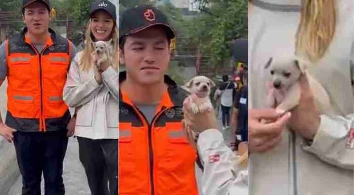 #VIDEO: Mariana Rodríguez adopta cachorro y lo llama ‘Alberto’