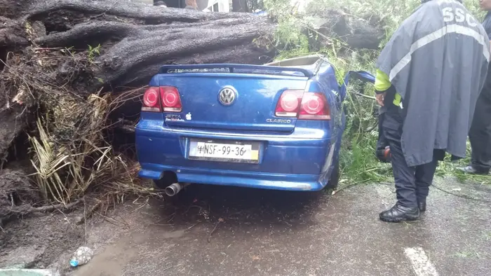 #Video | Mujer muere en auto al caerle árbol encima en CDMX; su bebé quedó atrapado y sobrevivió