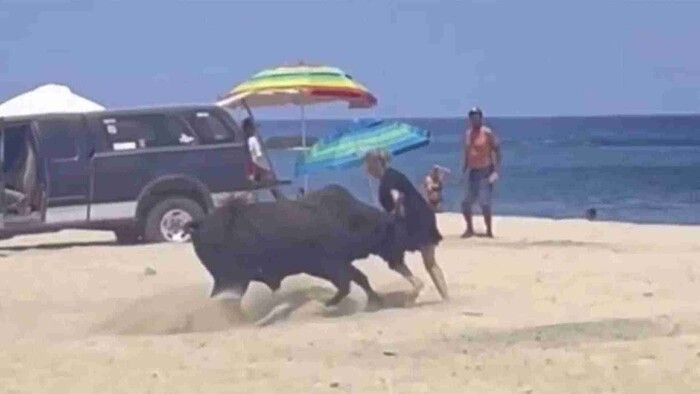 Video: Mujeres son atacadas por un toro en playa de Los Cabos