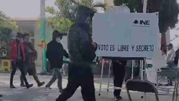 Video: Sujetos armados roban paquetes electorales en Puebla