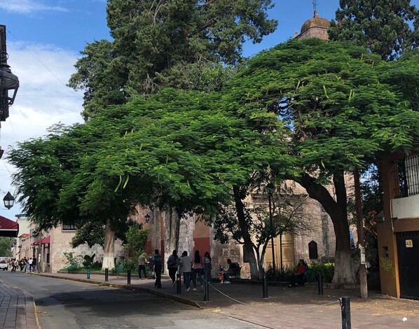 #Video | Un hombre prendiendo fuego a la puerta del Templo de La Columna en Morelia