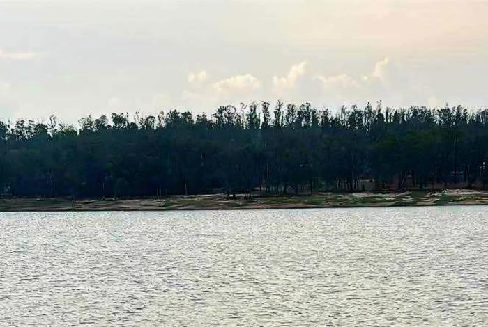 #Video | Una persona, al parecer del sexo masculino, fue encontrada sin vida en la Presa de Cointzio