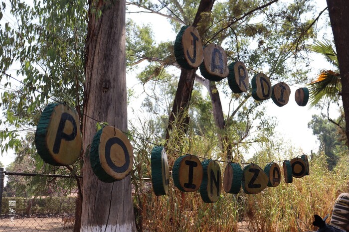 #Video | ¿Ya conoces el jardín polinizador del Zoo de Morelia? Ayuda a proteger la vida