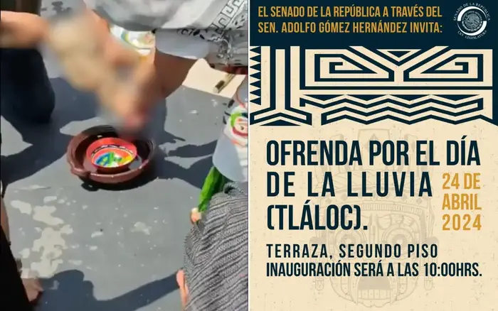 #Videofuerte: Sacrifican gallina en Senado de la República ‘para que llueva’