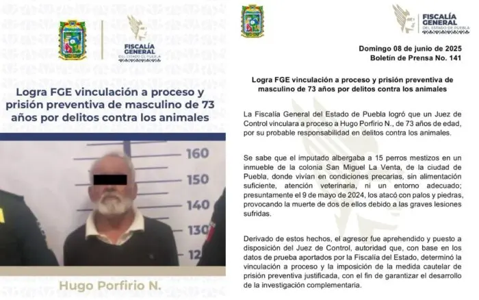 Vinculan a proceso a anciano por maltrato animal con piedras y palos contra 15 perros dentro de su domicilio