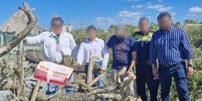 Vinculan a proceso a responsables de devastar manglares en Sisal, Yucatán