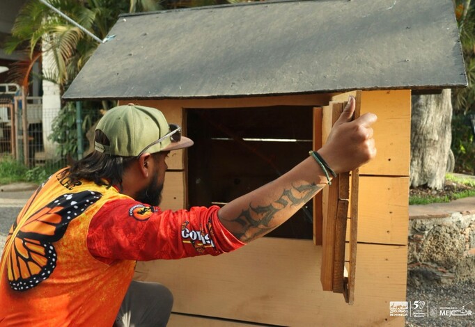 Vive una aventura segura y emocionante en la tirolesa del zoológico