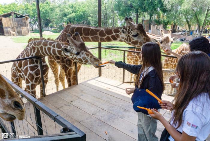 ¡Vive unas vacaciones inolvidables en el Zoológico de Morelia!