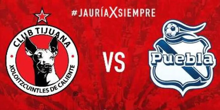 Xolos buscará asegurar su zona en la liguilla, mientras Puebla no tiene nada que perder: Partido de la Jornada 17 del Apertura 2024