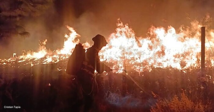 Zinapécuaro: Fuerte incendio forestal se registra en Taimeo