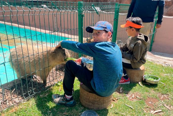 Zoológico de Morelia abre su aula viva para descubrir el mundo de las serpientes